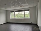 Lokal użytkowy Kraków Podgórze, Rybitwy, Rybitwy - 1