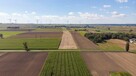 Działka usługowa Radonia gm. Wielowieś, - 2