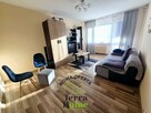 Mieszkanie Kielce Barwinek, Barwinek - 1