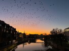 Mieszkanie Wrocław Stare Miasto, Stare Miasto, Staromłyńska - 11