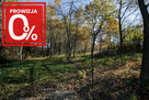 Działka budowlana- Koszyce Wielkie - 4
