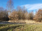 Budowlano-rolna, prostokątna, zieleń - 2