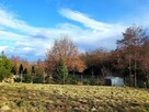 Budowlano-rolna, prostokątna, zieleń - 5