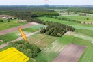 Wiosna, malownicza ze stawem dla miłośników natury - 7