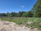 Sprzedaż trzech działek budowlanych– Przywory Duże - 6