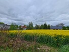 Działka budowlana Bałdowo gm. Tczew, Świętego Wojciecha - 1