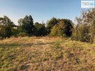 Działka rekreacyjna Bieliny Bieliny - 5