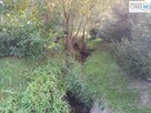 Działka rekreacyjna Bieliny Bieliny - 15