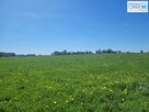 Działka rolna Busko-Zdrój Słabkowice - 8