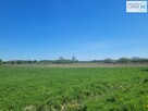 Działka rolna Busko-Zdrój Słabkowice - 9