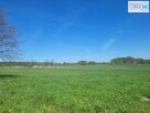 Działka rolna Busko-Zdrój Słabkowice - 10