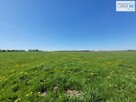 Działka rolna Busko-Zdrój Słabkowice - 12