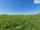 Działka rolna Busko-Zdrój Słabkowice - 13