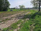 Działki w Jagoszycach niedaleko Prusic - 13