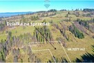 DZIAŁKA ROLNA W BIAŁYM DUNAJCU - 2