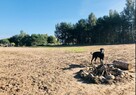 Działka budowlana z mediami 15 minut od morza - 3