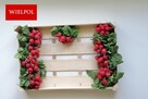 Skrzynki drewniane na rzodkiewki / Łuszczki do rzodkiewki - 2