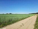 Piękne działki w Kaszczorze, blisko Jeziora Wieleńskiego - 10