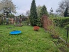 Ogródek działkowy Rod Wypoczynek - 7