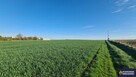 Działka budowlana Zamość - 4