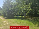 Dom Kcynia - 14