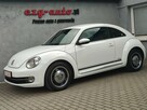 Volkswagen Beetle bezwypadkowy serwis wyposażenie Gwarancja - 3