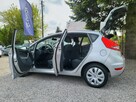 Ford Fiesta - 12