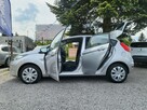 Ford Fiesta - 14