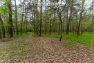 Działka 2100 m² w lesie – Jazgarzew - 2