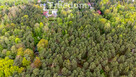Działka 2100 m² w lesie – Jazgarzew - 9