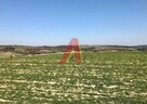 Działka rolna Brzoskwinia gm. Zabierzów, Kamyk - 2