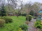 Ogródek działkowy Rod Wypoczynek - 6