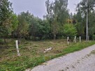 Działka budowlana Leszno, Podzaborówek - 4