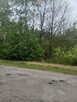 Działka rolno-budowlana z lasem. - 6