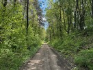 Działka siedliskowa Glaznoty gm. Ostróda - 11