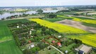 Duża działka ROD z drewnianym domkiem - 7