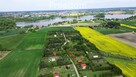 Duża działka ROD z drewnianym domkiem - 8