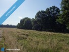 Skoczów Ochaby 57ar pod lasem widokowa pod rekreacje rolna - 3