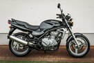Kawasaki ER 5 N 1998 Mały Przebieg Raty Transport NAJWIĘKSZY WYBÓR MOTO W PL - 3