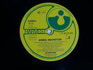 Scorpions - Animal Magnetism, winyl 1980, Niemcy Label: Harv - 12