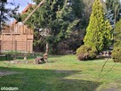 Świetna działka pod dom lub usługi - 778 m2 - Tyniec Mały - 3