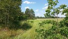 Działka na sprzedaż Jesionowiec koło Wielbarka - 1