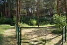 Sprzedam działkę rekreacyjną 29a w Czerwonej Woli, Sieniawa - 2