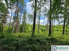 Działka leśna Końskie gm. Dydnia, - 1