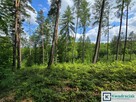 Działka leśna Końskie gm. Dydnia, - 2