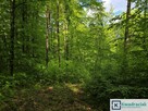 Działka leśna Końskie gm. Dydnia, - 4