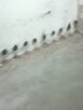 osuszanie budynków iniekcją krystaliczną KRAKÓW okolice - 9