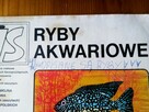 IS album naklejki ryby akwariowe - 6