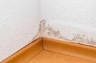 osuszanie odgrzybianie iniekcja krystaliczna KATOWICE okolic - 9