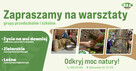 agroturystyka Kruszyna - 11